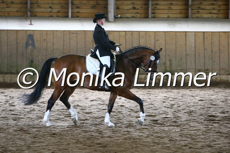 006M5001_Dressur A.JPG